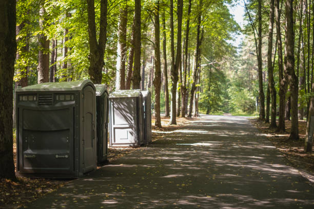 Best Portable bathroom rental  in Belding, MI